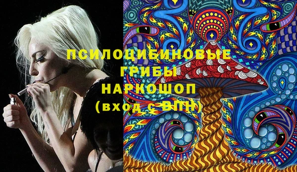 стафф Белокуриха
