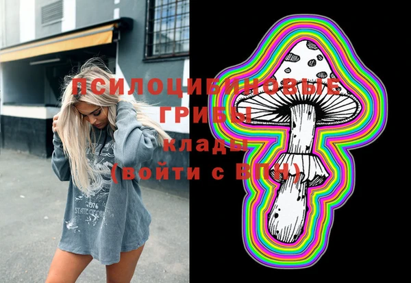стаф Белоозёрский