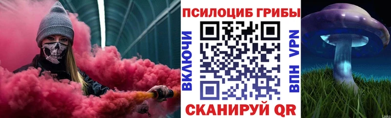 цена наркотик  Сковородино  Псилоцибиновые грибы Psilocybine cubensis 
